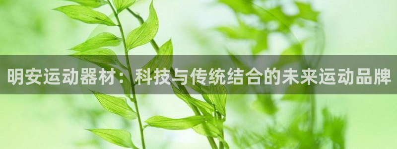 德国征途国际集团：明安运动器材：科技与传统结合的未来运动品牌