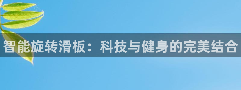 征途国际是干嘛的公司