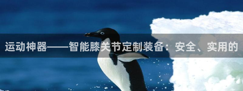 德国征途国际集团：运动神器——智能膝关节定制装备：安全、实用