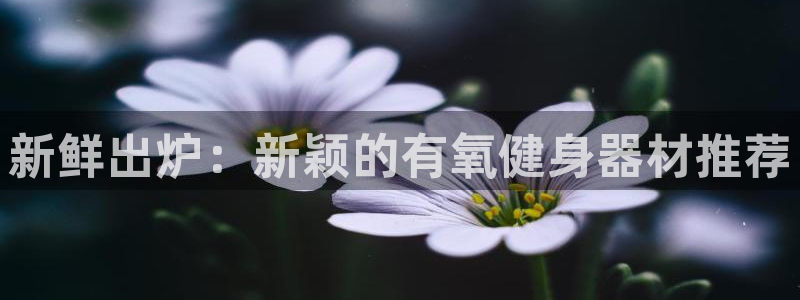 征途国际代理：新鲜出炉：新颖的有氧健身器材推荐