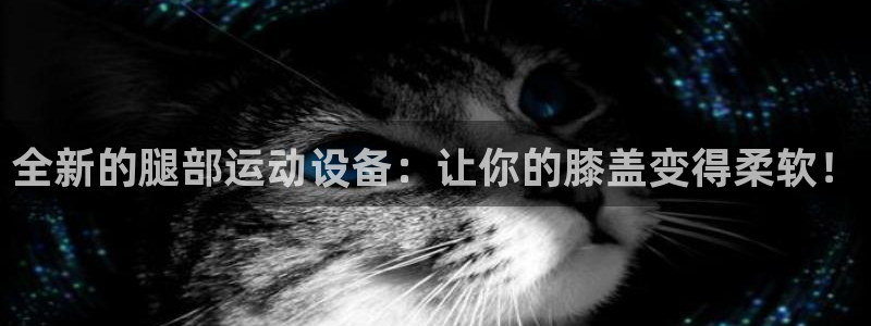 征途国际招商电话号码是多少号：全新的腿部运动设备：让你的膝盖
