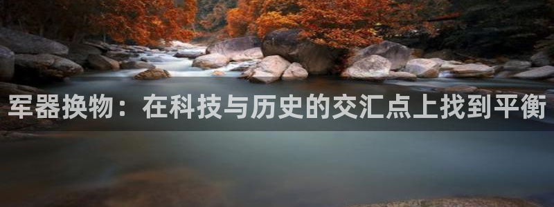 征途国际集团简介