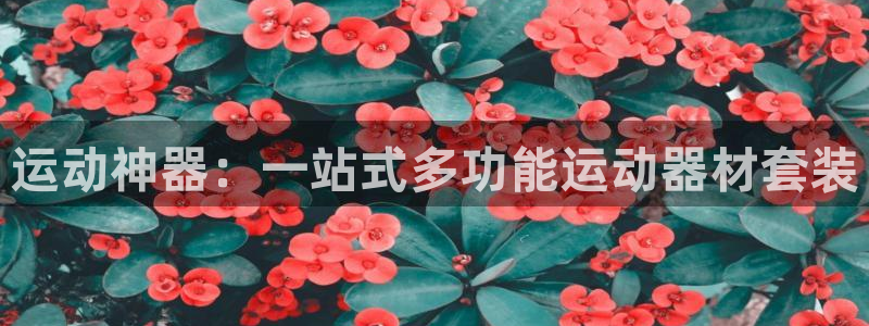 征途国际软件：运动神器：一站式多功能运动器材套装