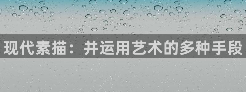 征途国际平台注册流程图：现代素描：并运用艺术的多种手