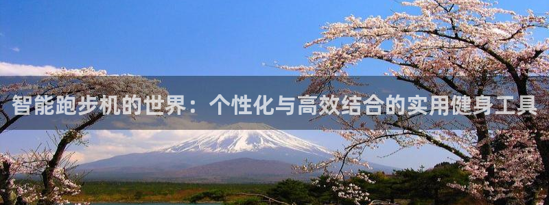 征途国际平台注册要钱吗：智能跑步机的世界：个性化与高