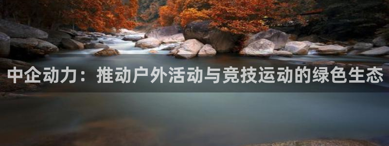 征途国际平台体育