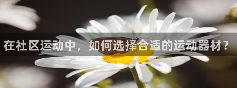 征途国际平台注册流程视频：在社区运动中，如何选择合适