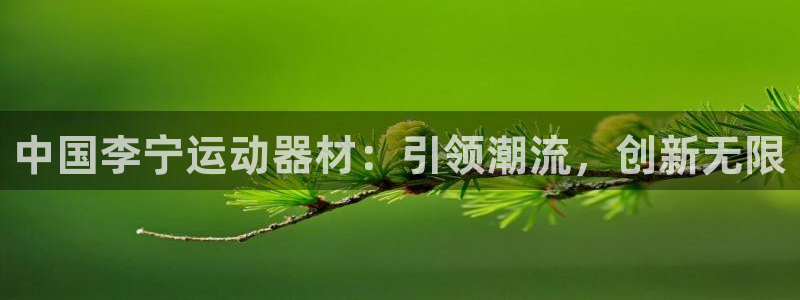 征途国际代理：中国李宁运动器材：引领潮流，创新无限