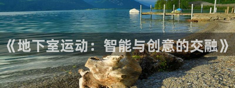 征途国际集团官网