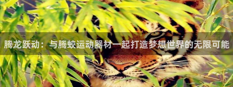 征途国际新能源：腾龙跃动：与腾蛟运动器材一起打造梦想世界的无