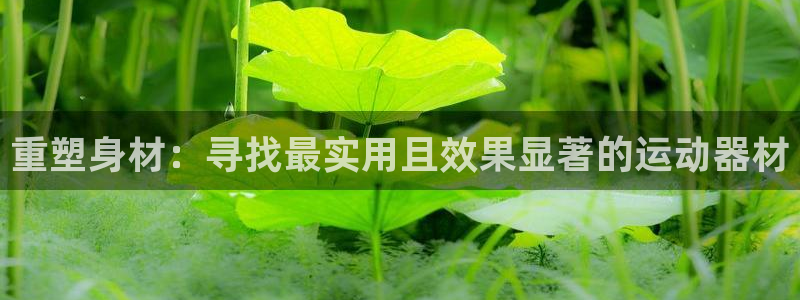 征途国际招商电话号码是多少：重塑身材：寻找最实用且效果显著的